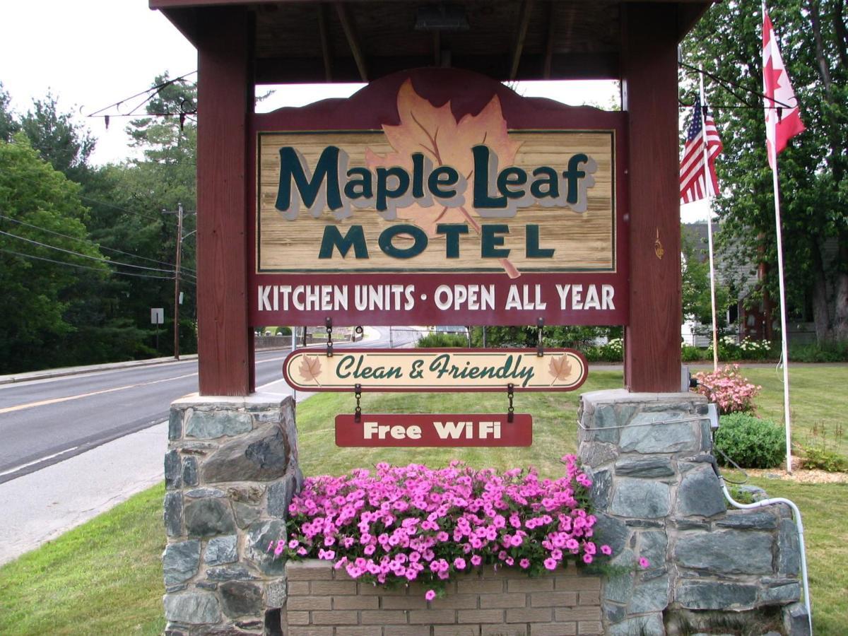Maple Leaf Motel Littleton Exteriér fotografie